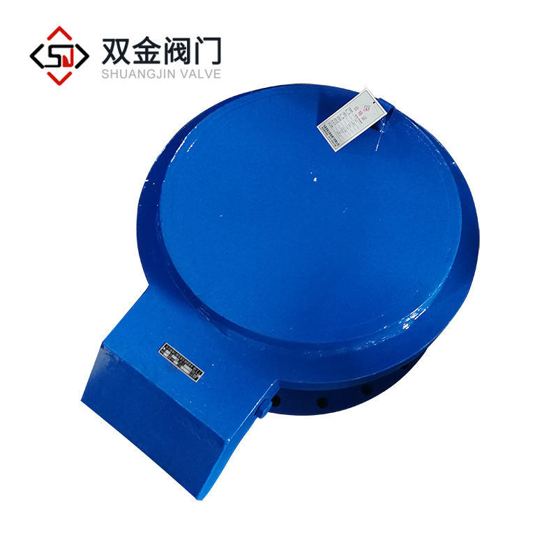 真空壓力釋放閥 真空壓力釋放閥